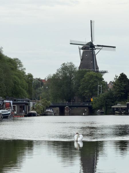 A peaceful scene unfolds on the Wittenburgergracht in Wittenburg, Amsterdam, featuring a majestic windmill towering over lush green trees and a tranquil canal